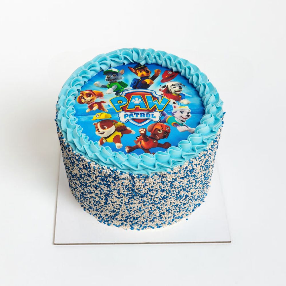 Paw Patrol Themed Cake Boy Paw Patrol Themed Cake Boy
