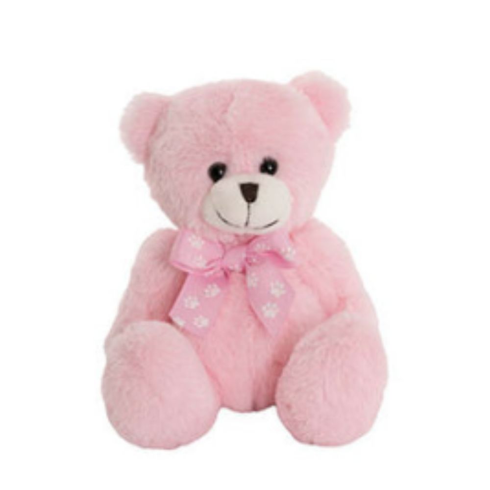 Pink - Teddy Bear 18cm